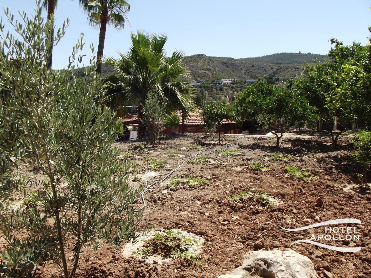 Apollon Hotel Patara Buitenkant foto